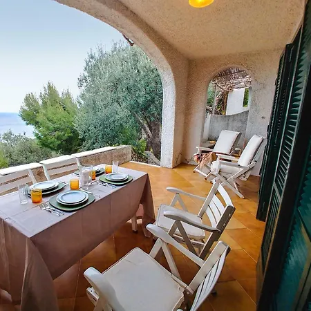 L'aleanto