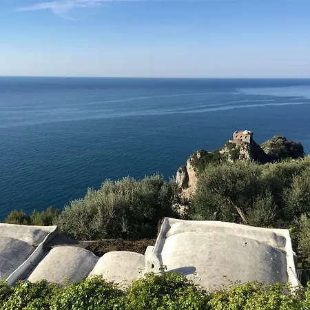 L'aleanto *